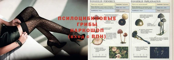 хмурый Гусь-Хрустальный