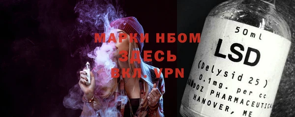 хмурый Гусь-Хрустальный