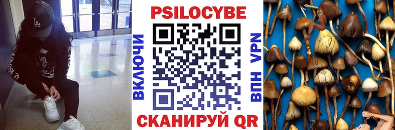Купить где Курганинск Псилоцибиновые грибы Psilocybine cubensis